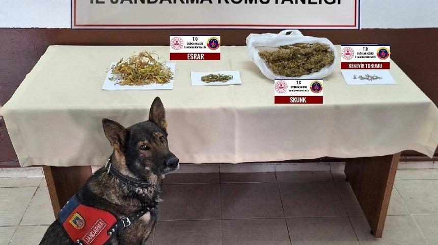 Erzincan'da bir ayda çeşitli suçlardan aranan 157 şüpheli yakalandı