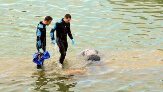 Seyhan Nehri'nde erkek cesedi bulundu
