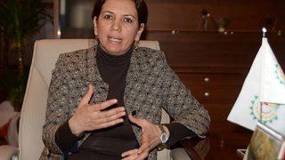 HDP'li Irmak: Çözüm süreci iki ucu keskin bıçak gibi