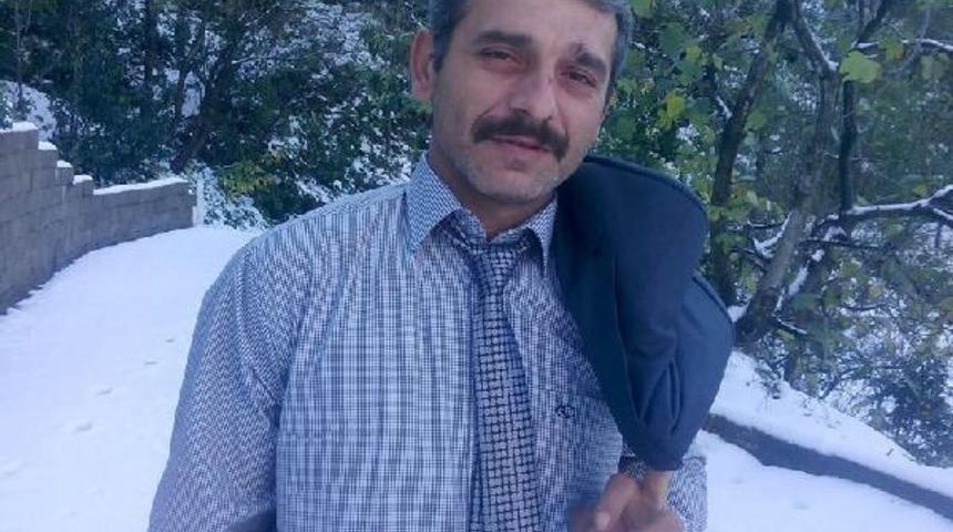 Rize'de kestiği ağaç üzerine devrilen işçi öldü