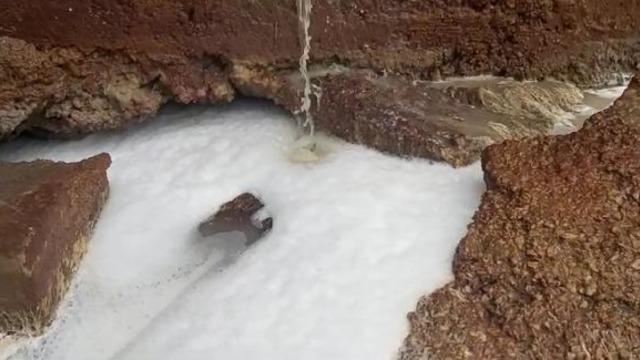 'Kimyasal madde boşaltıldı' iddiası ortalığı karıştırdı! 'Balıklar suyun içinde ters dönmüş'