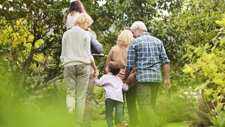 Aile dizimi terapisi nedir? Aile dizimi terapisi nasıl yapılır?