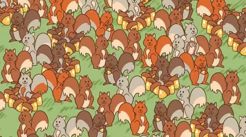 Böyle zeka testi görülmedi! Görseldeki fareyi bul, 11 saniyede sadece 300 kişiden 2'si yapabiliyor