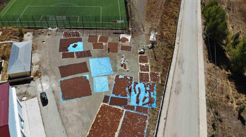 Giresun&rsquo;da bu il&ccedil;ede fındık yetiştirilmiyor ama kurutuluyor