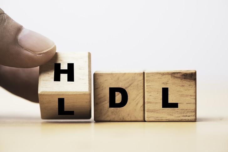 HDL düşüklüğü neden olur?