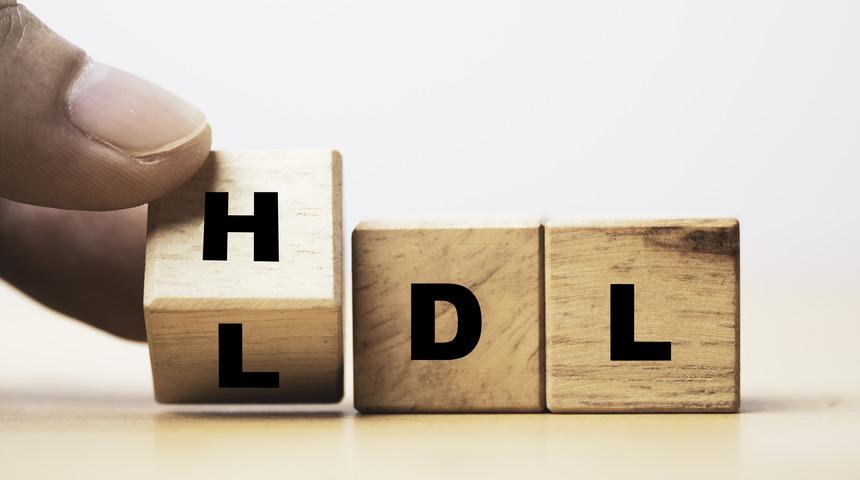 HDL kolesterol nedir? HDL kolesterol düşüklüğü neden olur?