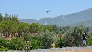 Selçuk'ta orman yangını