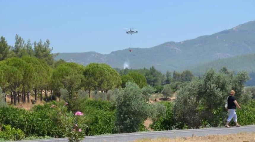 Sel&ccedil;uk'ta orman yangını