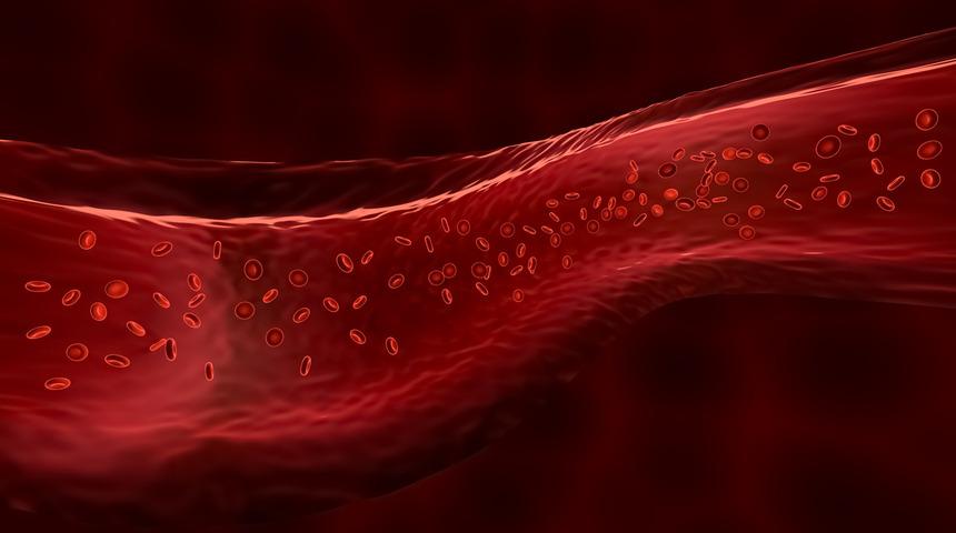Hematokrit nedir? Kanda HCT d&uuml;ş&uuml;kl&uuml;ğ&uuml; neden olur?
