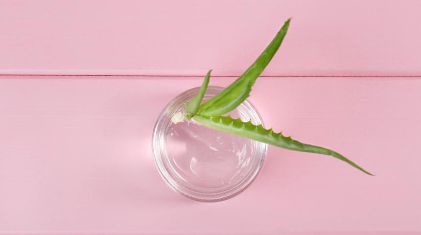 Yağlı ciltlere aloe vera sürülür mü? Aloe vera jel yağlı ciltte nasıl kullanılır?