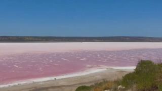 Avustralya'da gölün suyu sadece bir günde renk değiştirdi! Uzmanlar uzak durulması konusunda uyarılarda bulundu