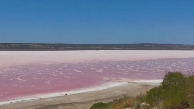 Avustralya'da gölün suyu sadece bir günde renk değiştirdi! Uzmanlar uzak durulması konusunda uyarılarda bulundu