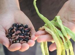 Endonezya'dan getirdi, taleplere yetişemiyor! Kilosu 100 bin lira