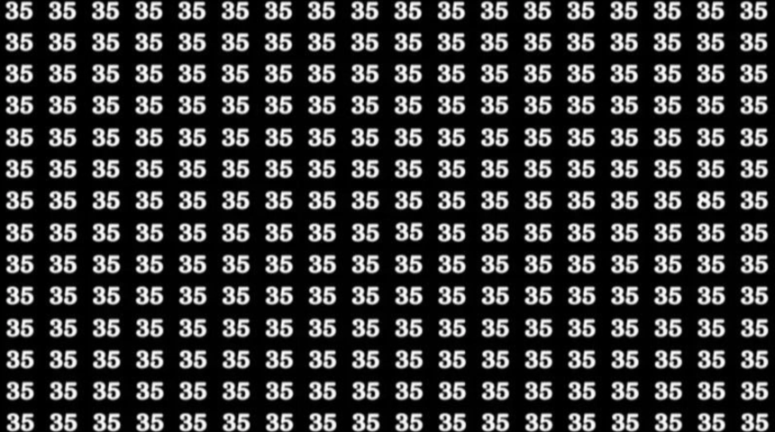 Dikkat testi: Resimdeki farklı sayıyı 11 saniyede bulanlar s&uuml;per zeki kabul ediliyor!