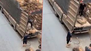 Sosyal medyada infial yaratan görüntüler! Et pazarında satılacağı iddia edildi... Kamyondan kafes kafes canlı köpek indirildi