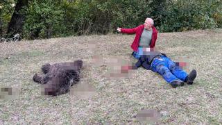 Yaşlı adamın feryadını duyan koştu! Ayı saldırısına uğradı...