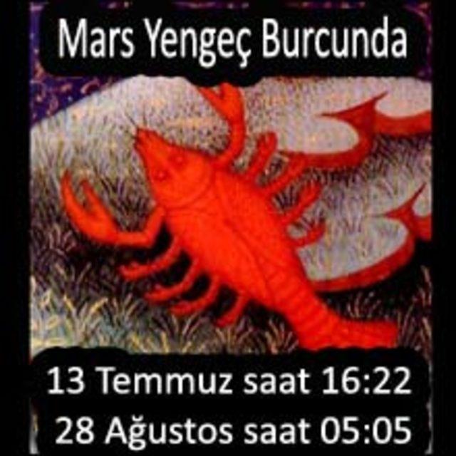 mars-yengeç 220