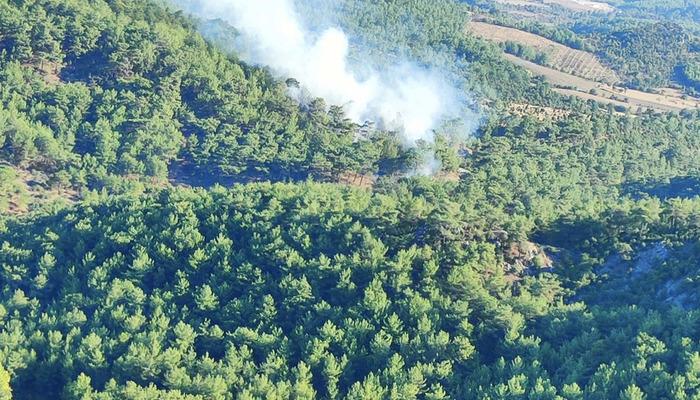 Çanakkale’de orman yangını! Rüzgarın da etkisiyle kısa sürede yayıldı…