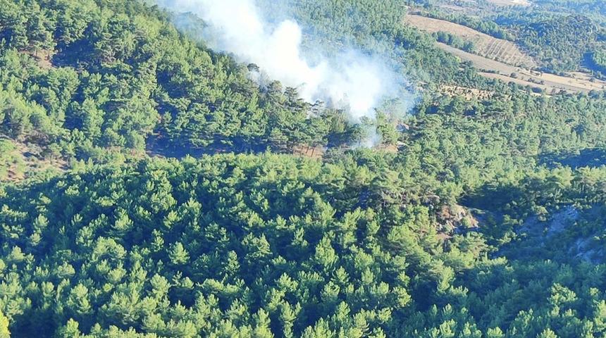 &Ccedil;anakkale'de orman yangını! R&uuml;zgarın da etkisiyle kısa s&uuml;rede yayıldı...