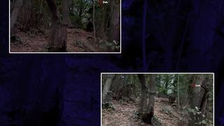 İstanbul'da şaşırtan anlar! Görünce şaşkınlığını gizleyemedi, kedi çağırır gibi çağırdı