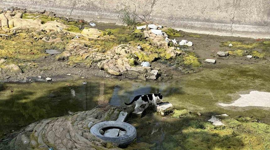 Suyu kesilen Porsuk Çayı’nda kirli görüntü dikkat çekiyor