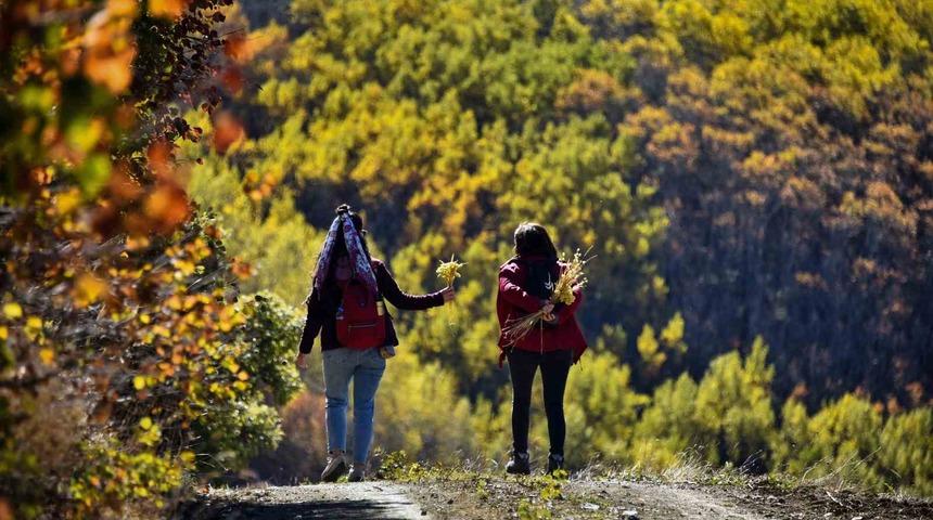 Gümüşhane’de doğa tutkunları sonbaharın keyfini çıkarıyor