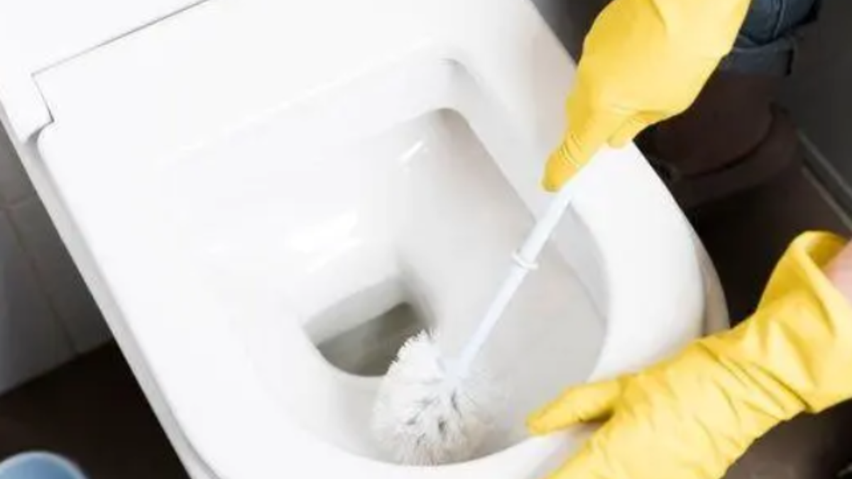 Sararmış tuvalet taşlarınız anında beyazlayacak! Tuvalet taşınızı beyazlatmak için bunu deneyin...