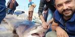 Bursa açıklarında 4 metrelik köpek balığı! Yüzdürerek getirdiler