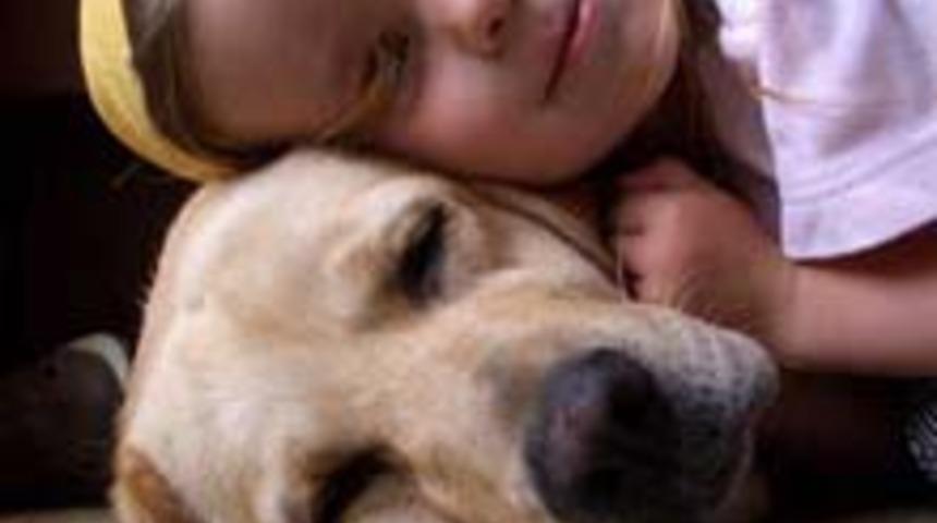 K&ouml;pek İle Seyahat