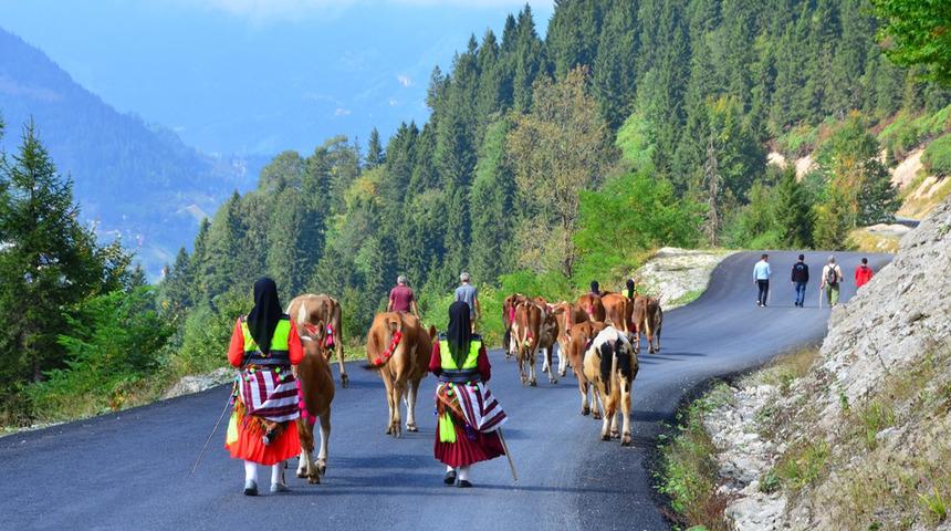 Bir uyarı mesajı olduğuna inanıyorlar 'Geri dön' Gördükleri gibi harekete geçtiler 