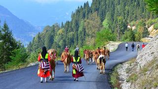 Bir uyarı mesajı olduğuna inanıyorlar 'Geri dön' Gördükleri gibi harekete geçtiler 