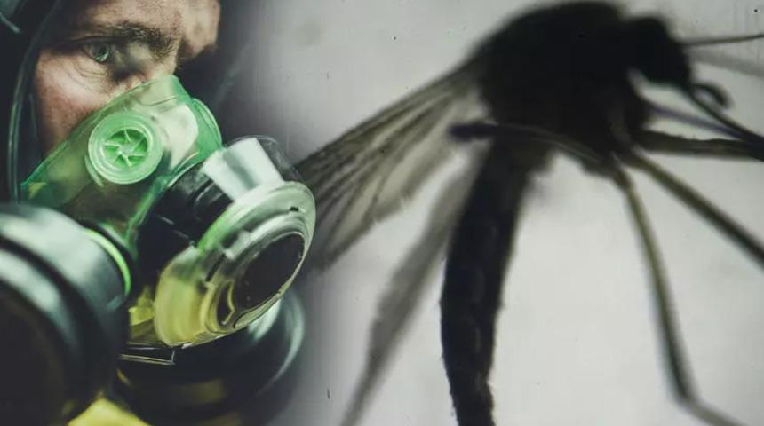 Yunanistan'da Batı Nil Virüsü alarmı! Çok sayıda kişi öldü, vaka sayısı artıyor