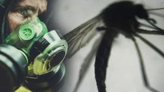 Yunanistan'da Batı Nil Virüsü alarmı! Çok sayıda kişi öldü, vaka sayısı artıyor