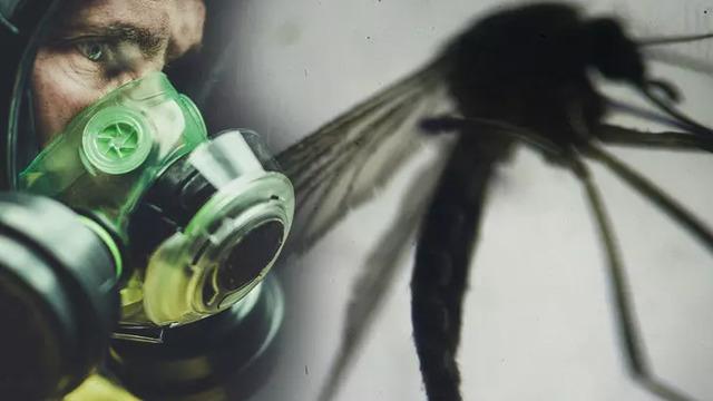 Yunanistan'da Batı Nil Virüsü alarmı! Çok sayıda kişi öldü, vaka sayısı artıyor