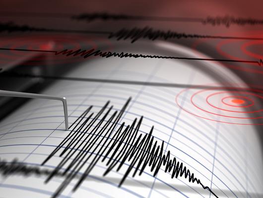 Rize'deki 4,7'lik deprem sonrası uzman isimden açıklama! "Hiçbir fayla ilişkili değildir..."