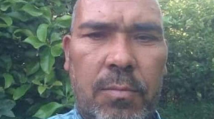 Mersin'de arı can aldı! Arının soktuğu çiftçi hayatını kaybetti