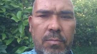 Mersin'de arı can aldı! Arının soktuğu çiftçi hayatını kaybetti