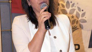 HDP'li Beştaş: PKK ile ortaklığımız da yok, düşmanlığımız da