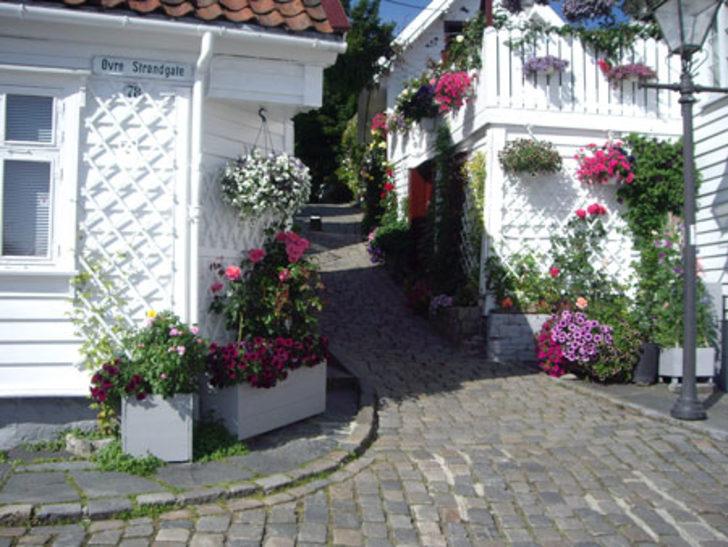 Norve&ccedil;'te Neler Oluyor?