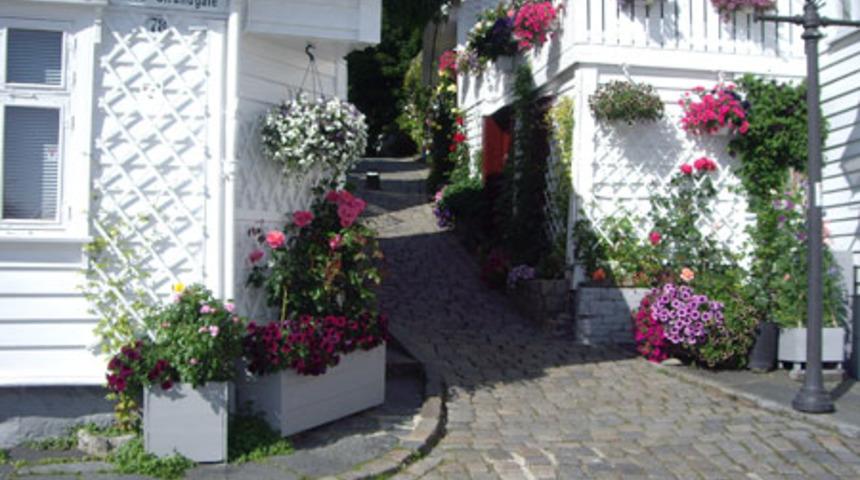 Norve&ccedil;'te Neler Oluyor?