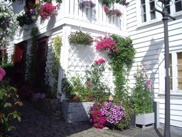 Norve&ccedil; te Neler Oluyor? 2