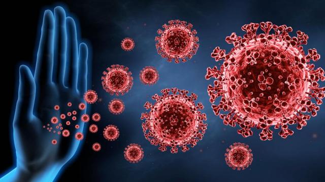 Güçlü bağışıklık iyi beslenmeden geçiyor! Hastalıktan koruyan besinler