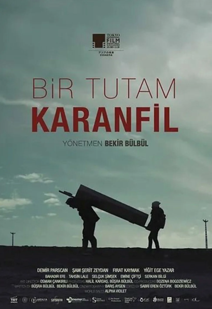 BİR TUTAM KARANFİL