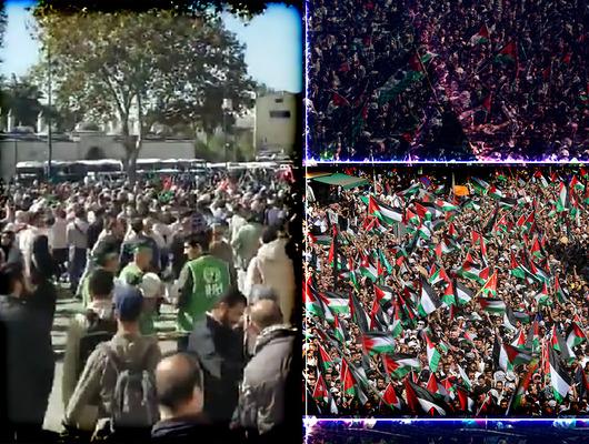 Yasağa aldırmayıp sınıra yürüdüler! Dünyanın dört bir yanından Filistin'e destek mesajları