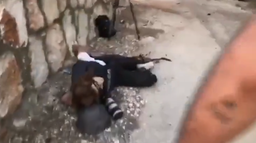 Lübnan-İsrail sınırında basın mensuplarına saldırı! Reuters kameramanı öldü, 5 gazeteci yaralandı