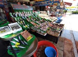 Balık tezgahlarında lüfer bolluğu: Fiyatı yarı yarıya düştü... Sıra istavritte