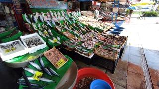 Balık tezgahlarında lüfer bolluğu: Fiyatı yarı yarıya düştü... Sıra istavritte