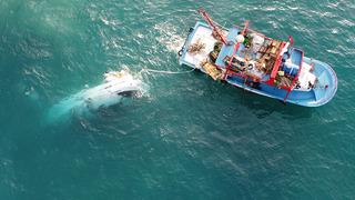 12 metrelik lüks tekne fırtınada savrularak kayalıklara çarpıp battı! 2 kişi sağ olarak kurtuldu