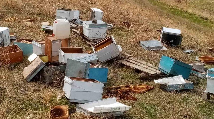 Muş’ta aç kalan ayılar arı kovanları parçaladı