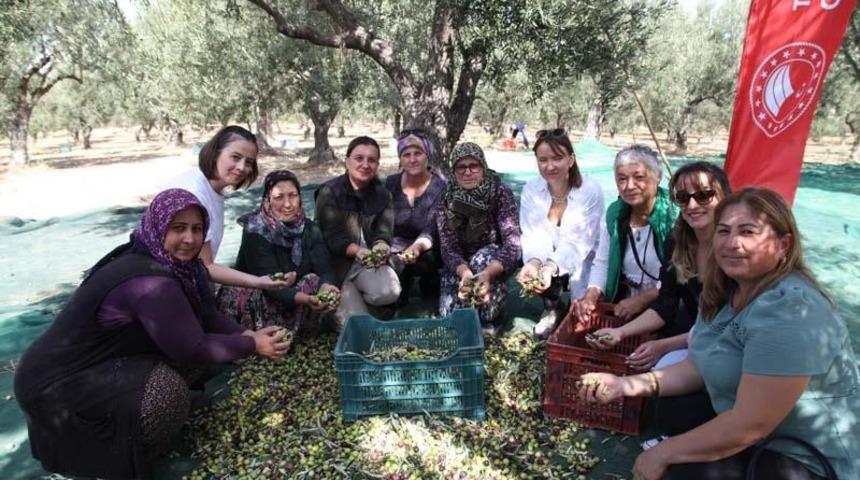 Çanakkale’de zeytin hasadı şenlikle başladı